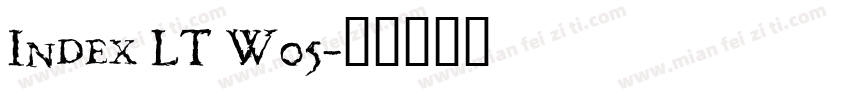 Index LT W05字体转换